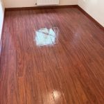 c0db0dd6-124f-468d-bad7-f7c08a4fef0a